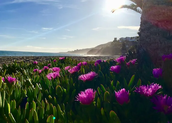 Rio Marina Apartment Nerja